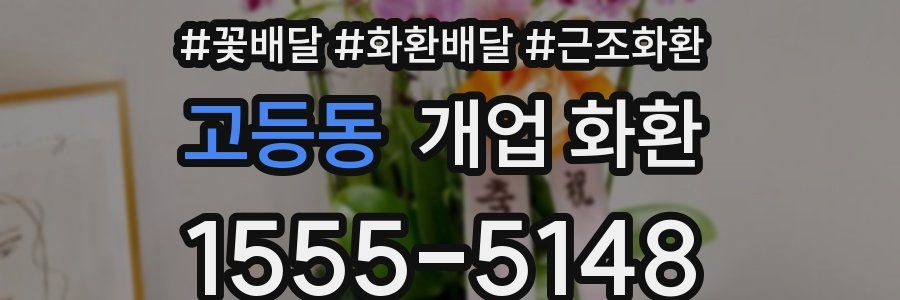 고등동 개업 화환