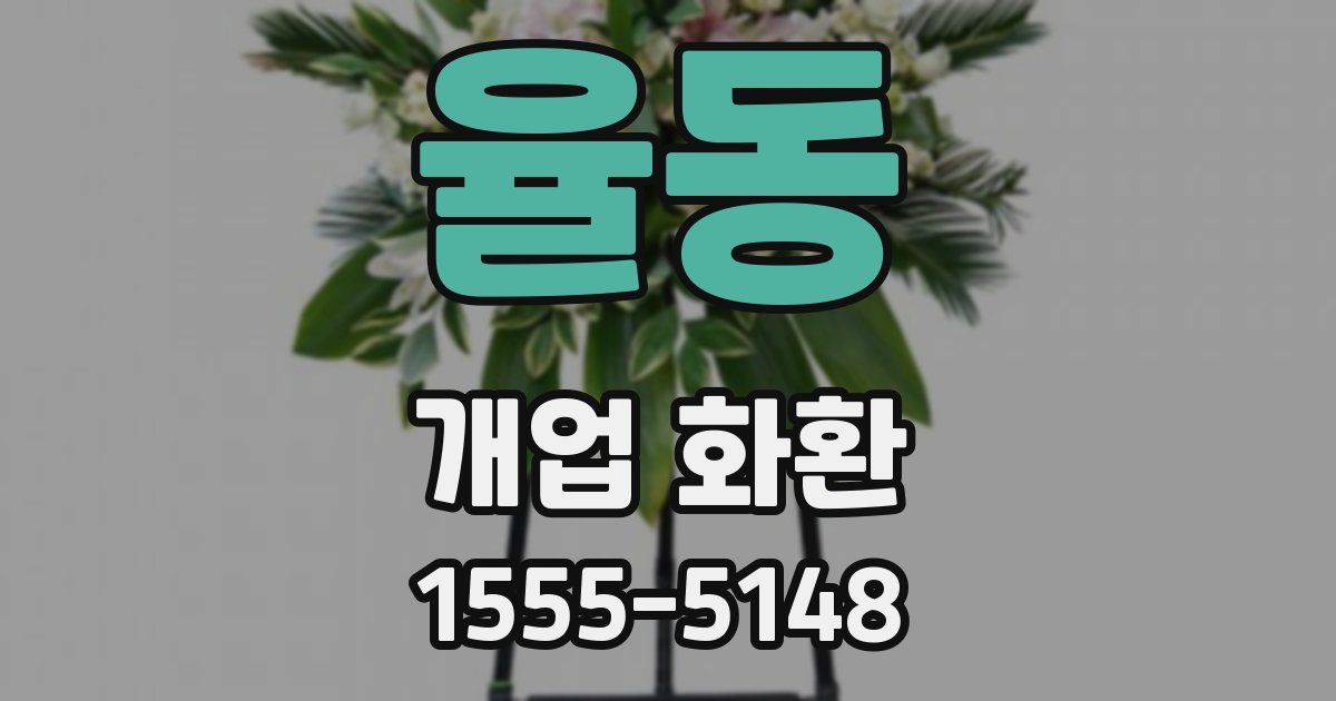 율동 개업 화환