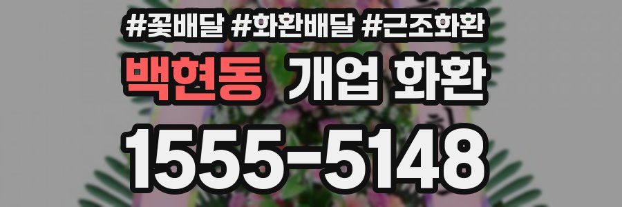 백현동 개업 화환