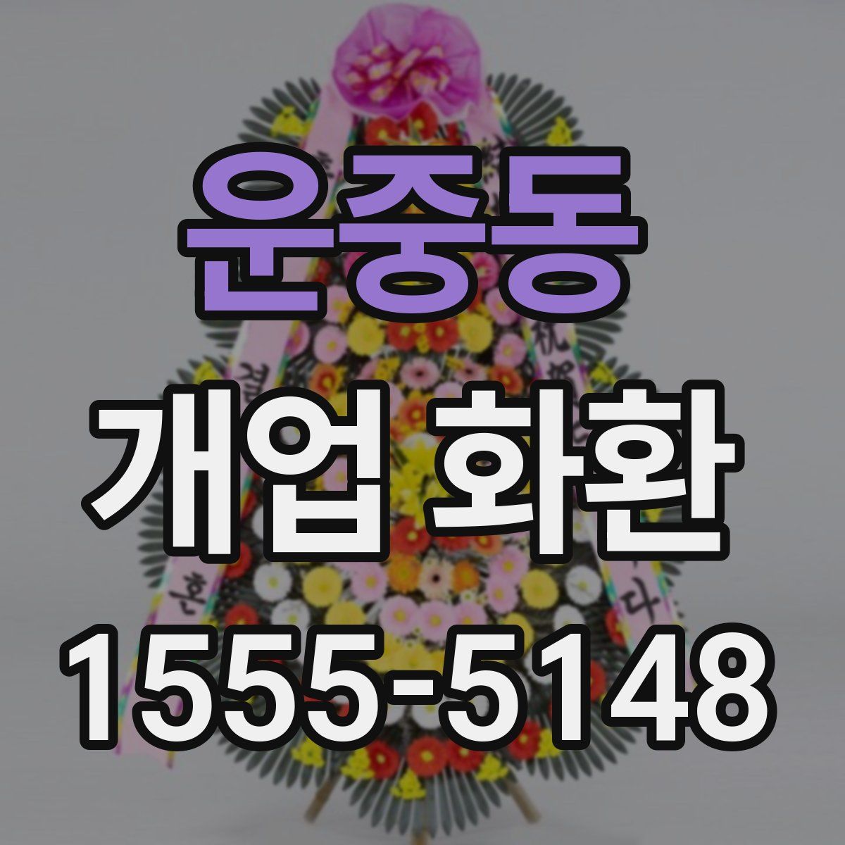 운중동 개업 화환