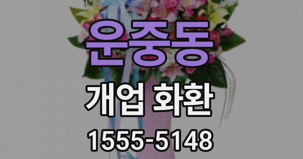 운중동 개업 화환