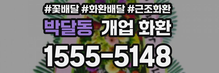 박달동 개업 화환