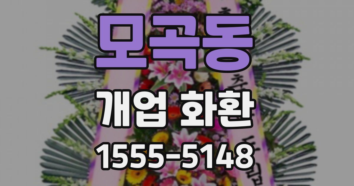 모곡동 개업 화환