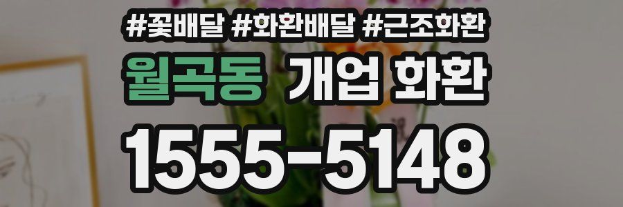 월곡동 개업 화환