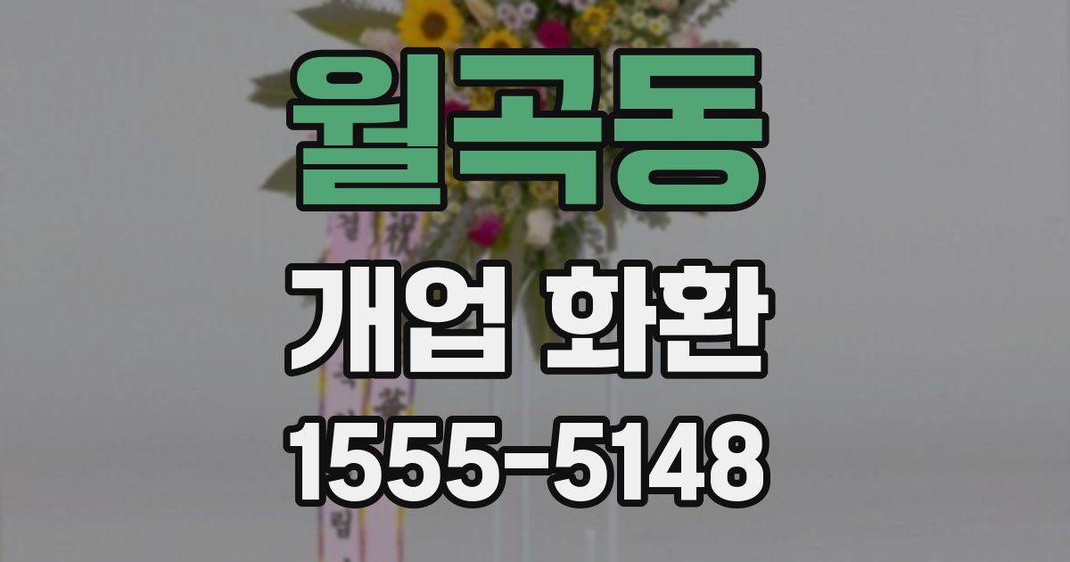 월곡동 개업 화환