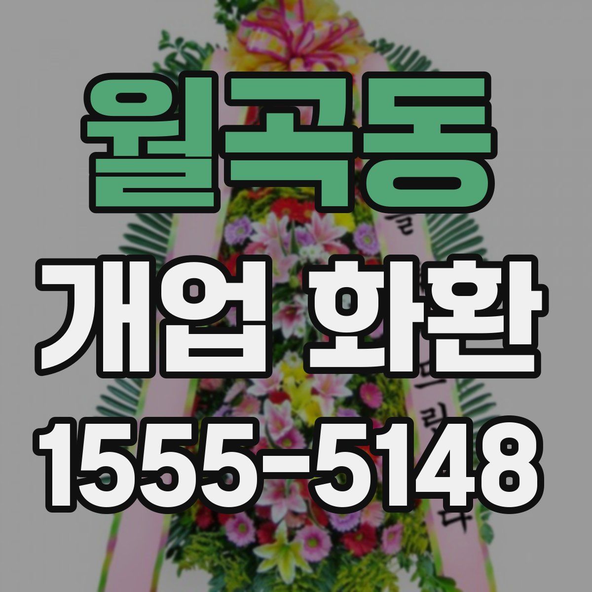 월곡동 개업 화환