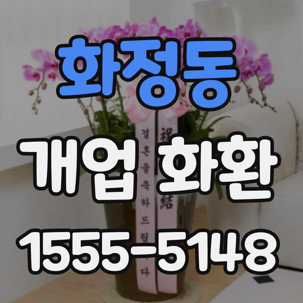 화정동 개업 화환 부드러운 느낌으로 선택하는 법