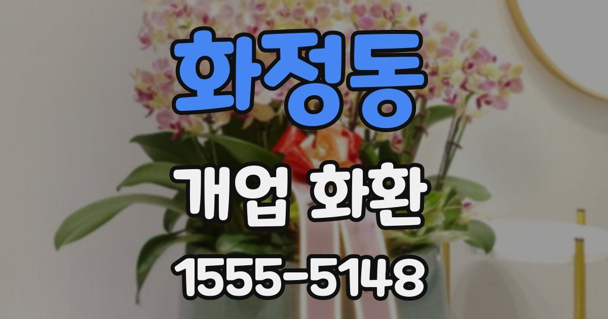 화정동 개업 화환