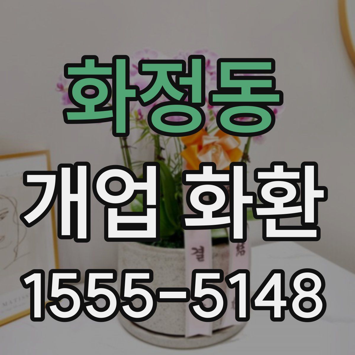 화정동 개업 화환