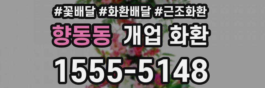 향동동 개업 화환