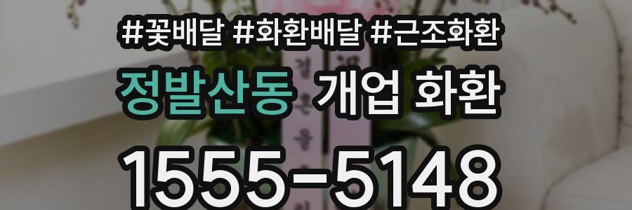 정발산동 개업 화환
