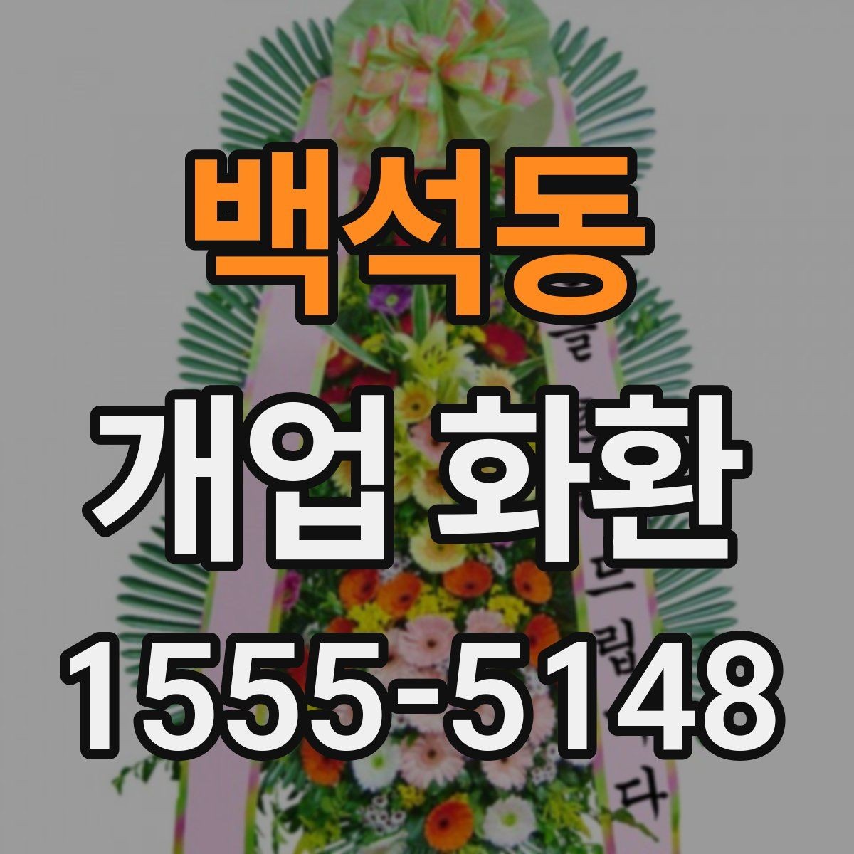 백석동 개업 화환 매장 개업 일정 확인 팁