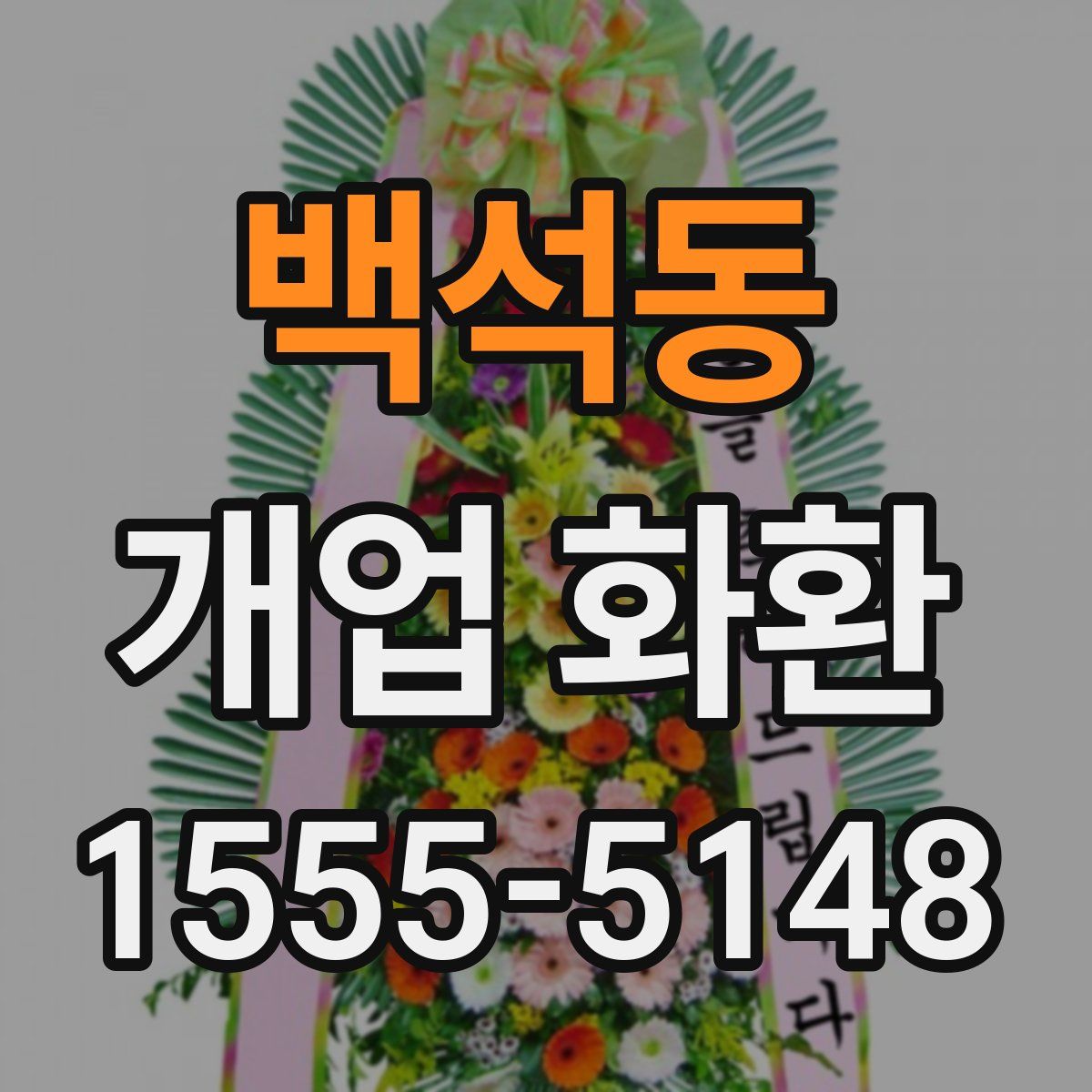 백석동 개업 화환