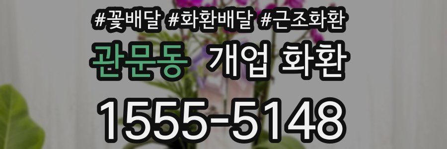 관문동 개업 화환