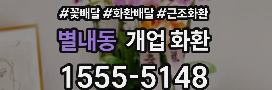 별내동 개업 화환