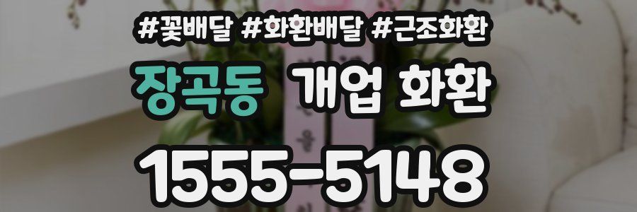 장곡동 개업 화환