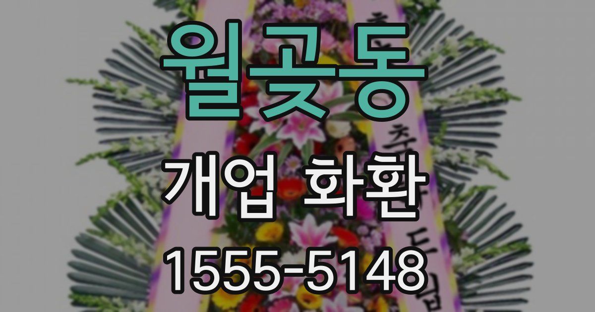 월곶동 개업 화환