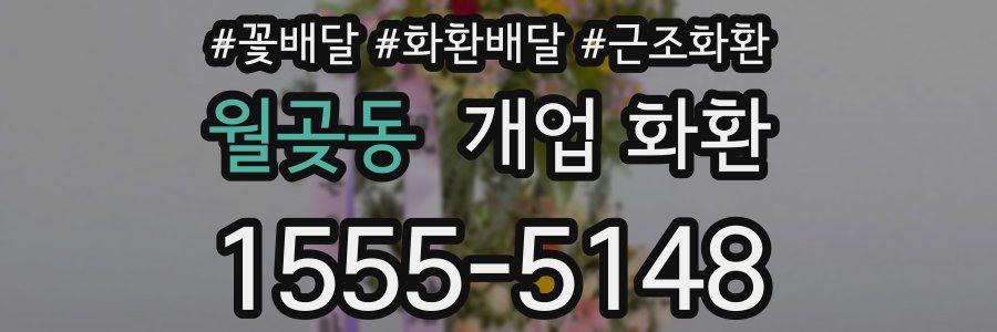 월곶동 개업 화환