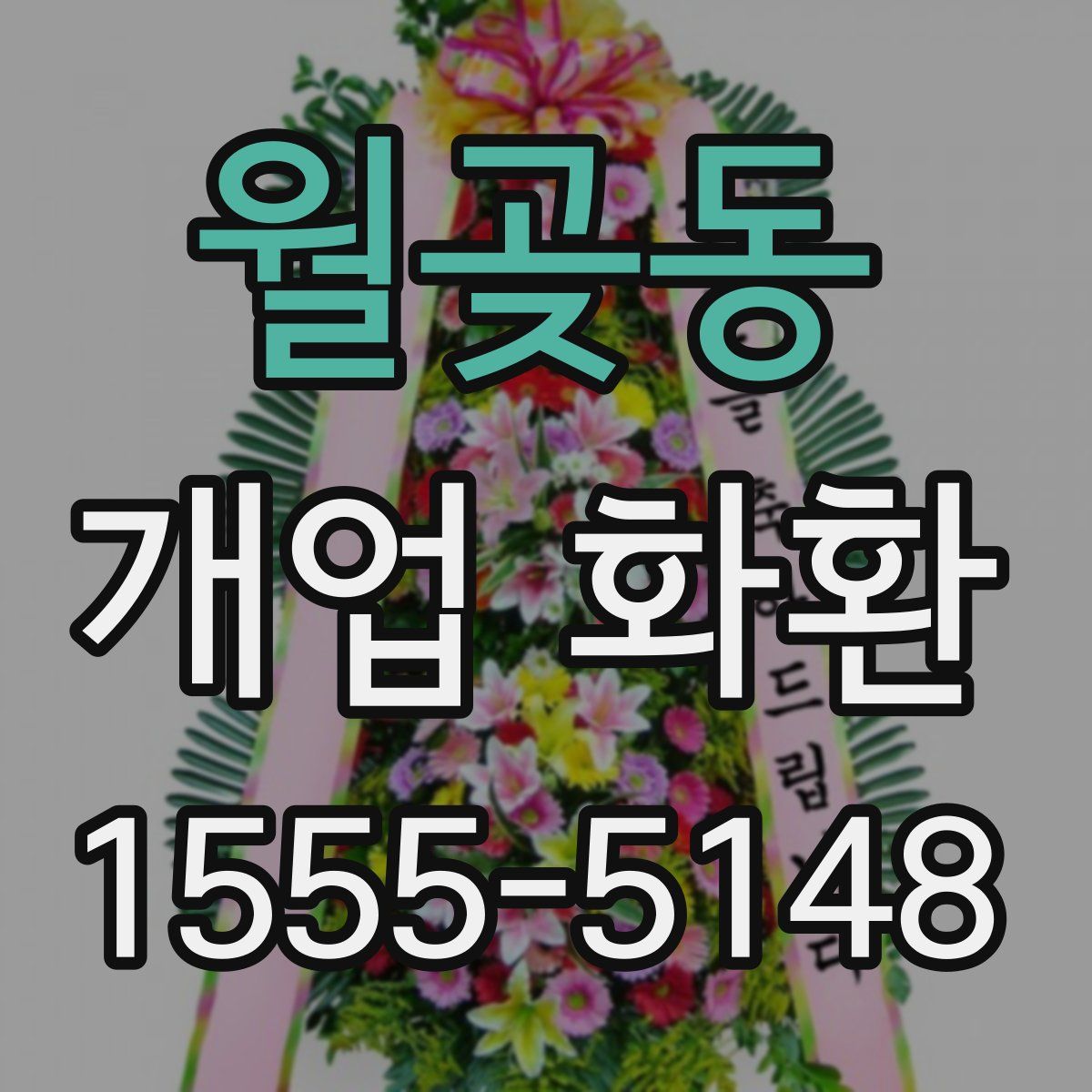 월곶동 개업 화환