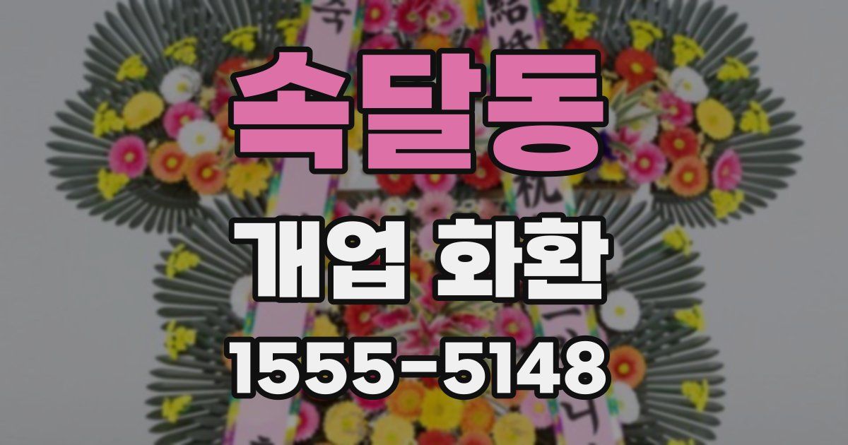속달동 개업 화환