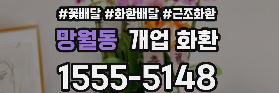 망월동 개업 화환