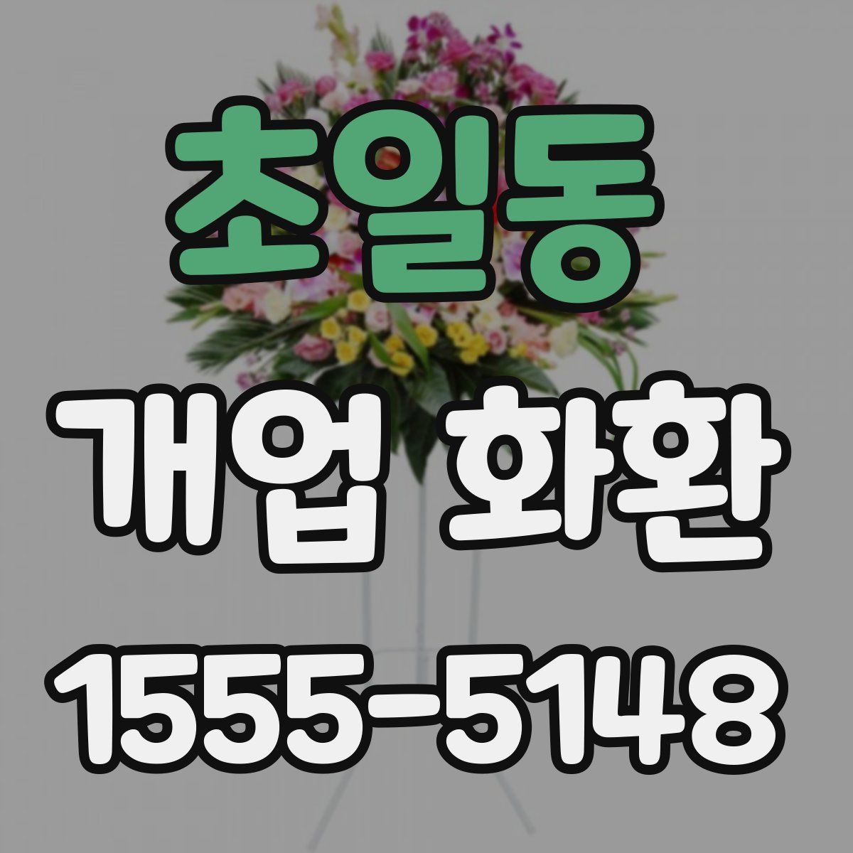 초일동 개업 화환
