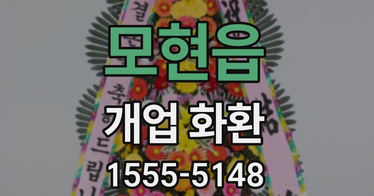 모현읍 개업 화환