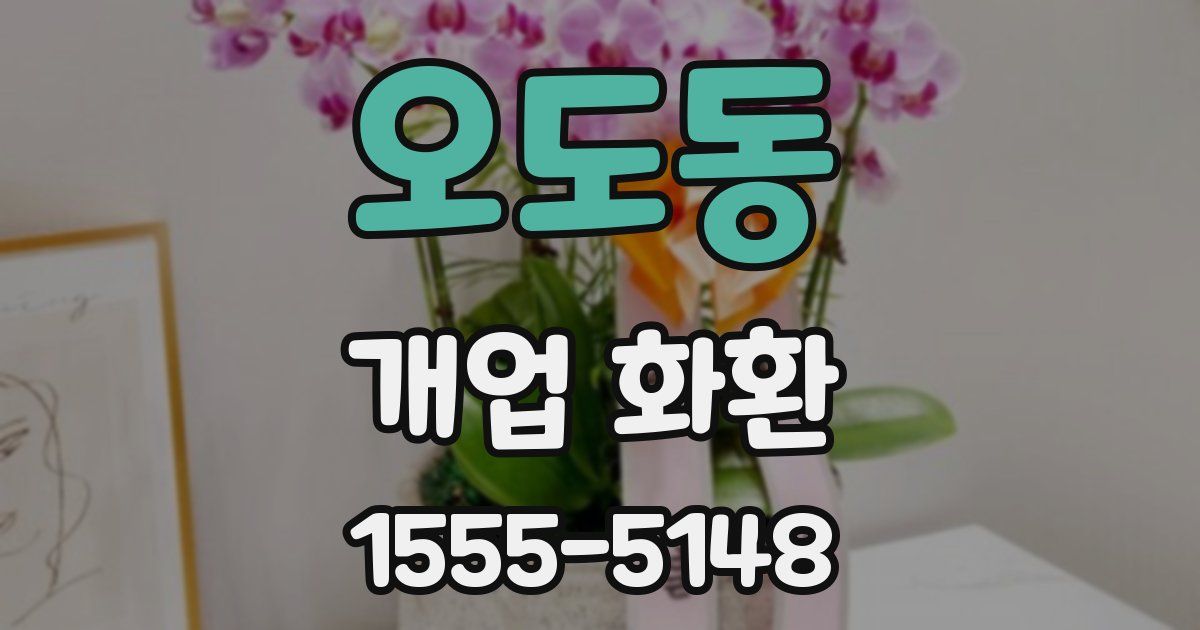 오도동 개업 화환