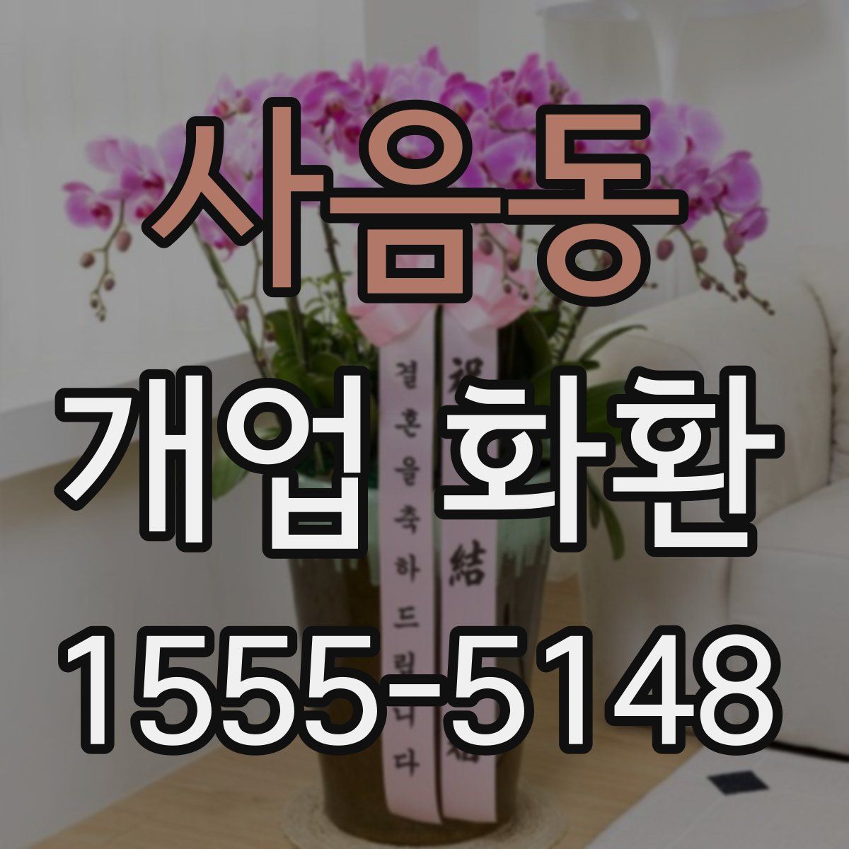사음동 개업 화환