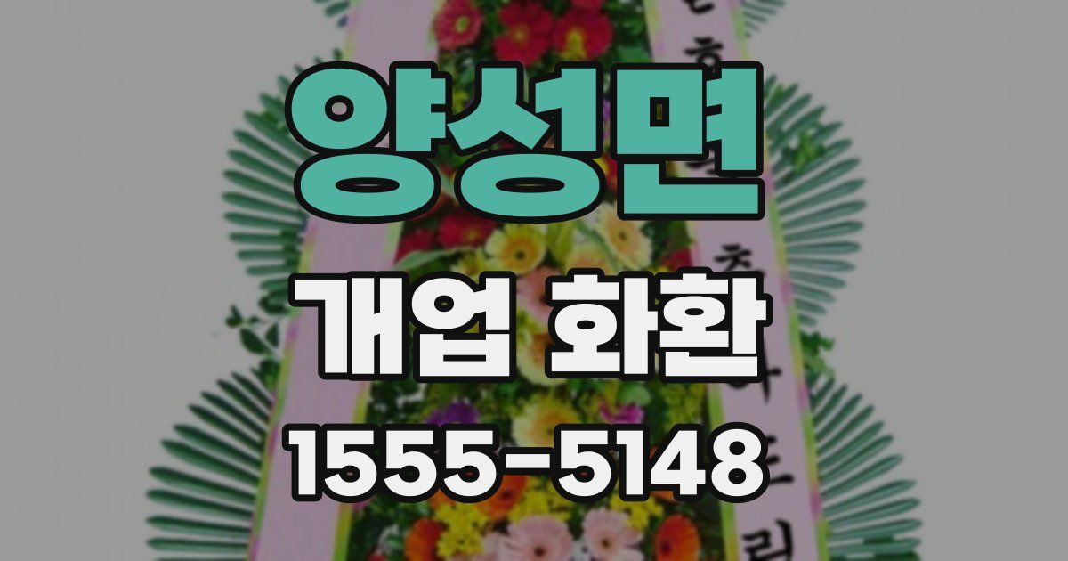 양성면 개업 화환