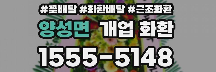 양성면 개업 화환