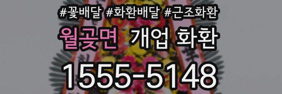 월곶면 개업 화환