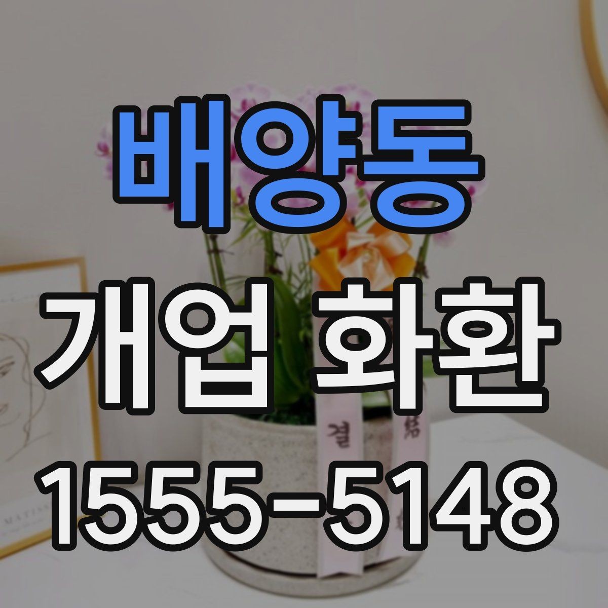 배양동 개업 화환 취향과 예산을 함께 맞추는 법