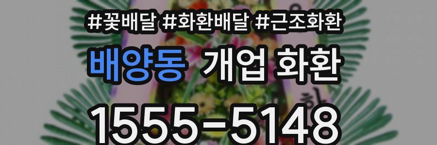 배양동 개업 화환