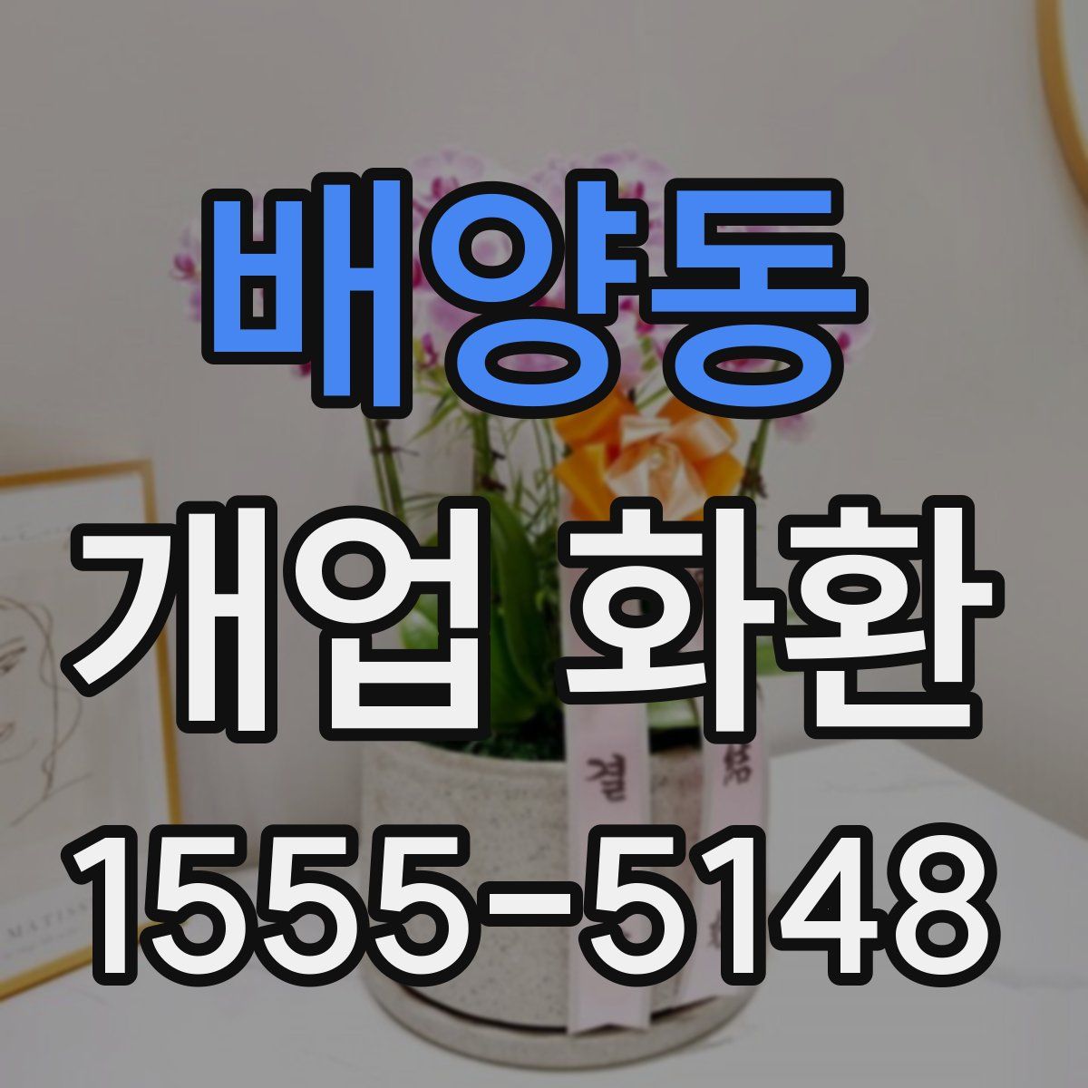 배양동 개업 화환