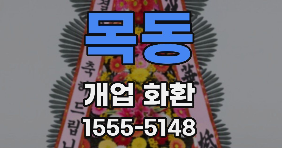 목동 개업 화환