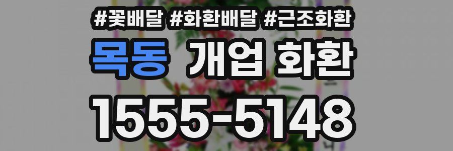 목동 개업 화환