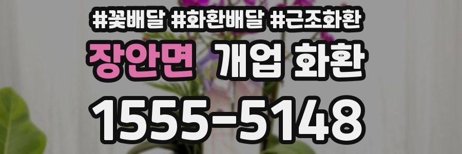 장안면 개업 화환