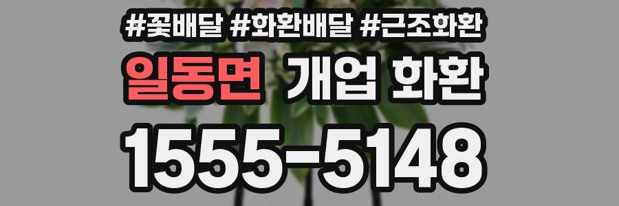 일동면 개업 화환