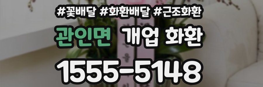 관인면 개업 화환