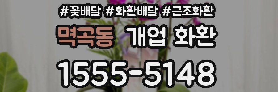 멱곡동 개업 화환