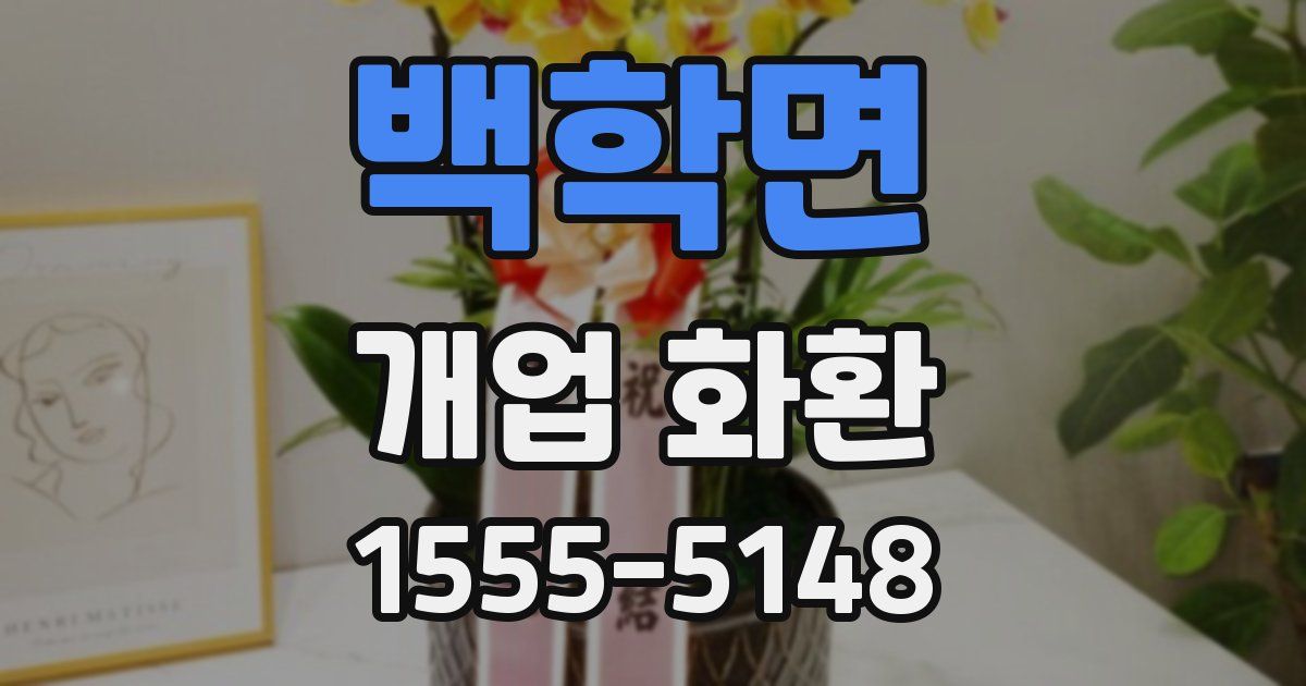 백학면 개업 화환