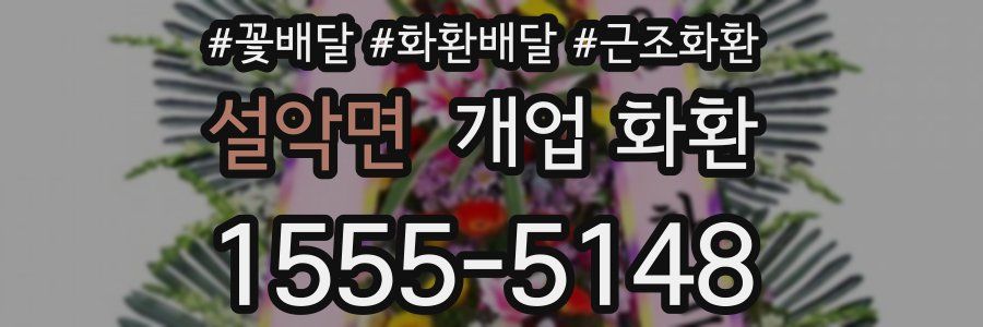 설악면 개업 화환