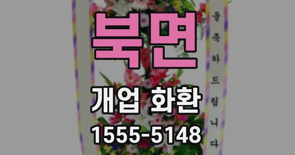 북면 개업 화환