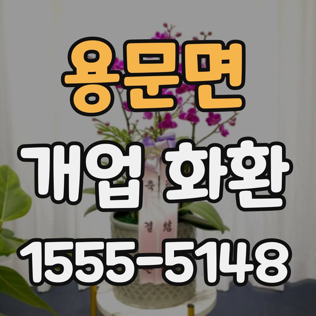 용문면 개업 화환