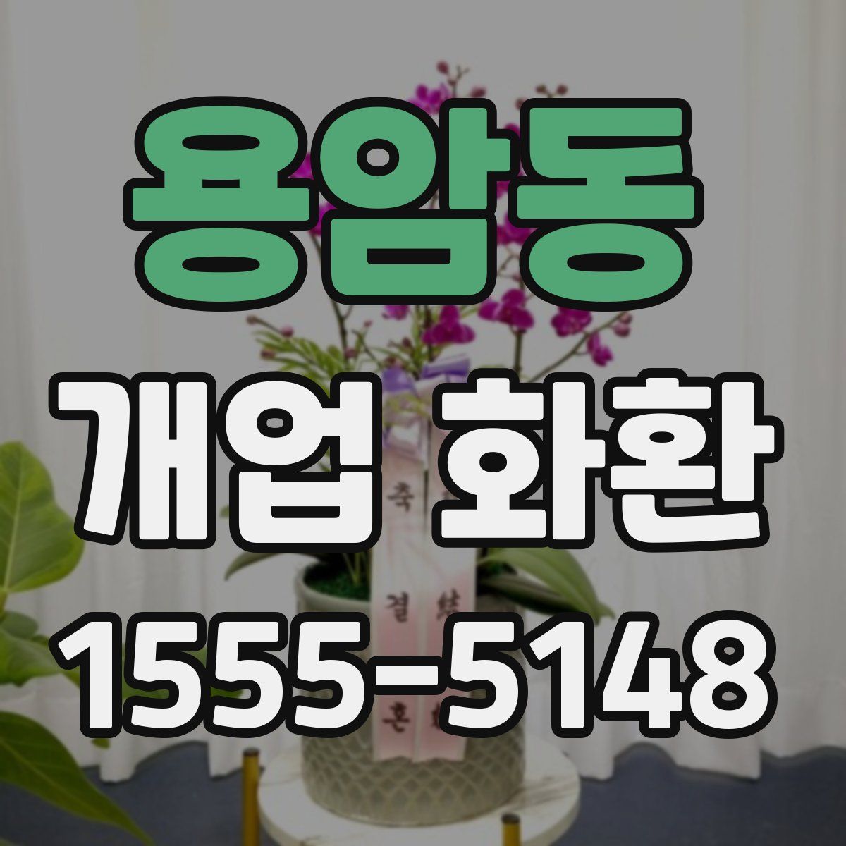 용암동 개업 화환