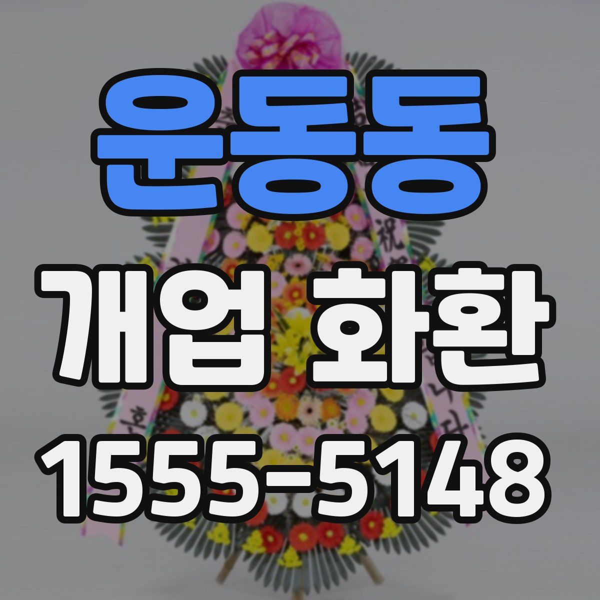 운동동 개업 화환