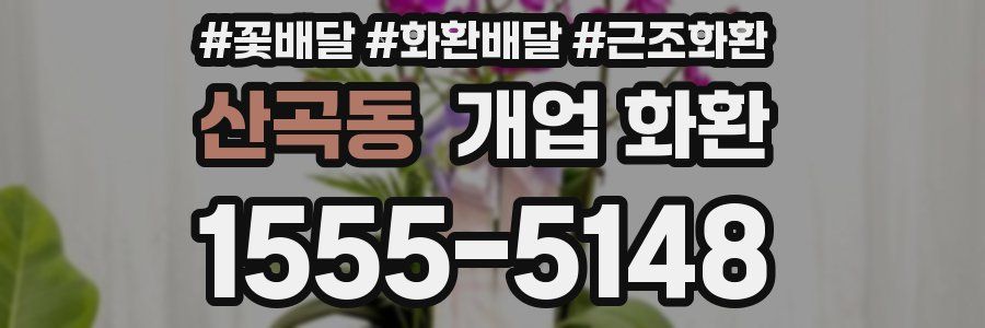 산곡동 개업 화환