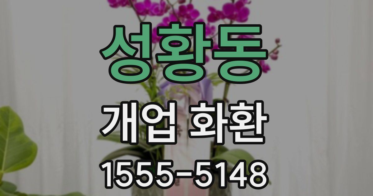 성황동 개업 화환