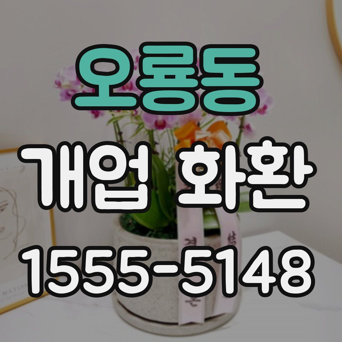 오룡동 개업 화환